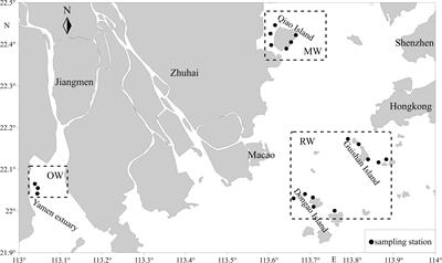 Acanthopagrus latus migration patterns and habitat use in Wanshan Islands, Pearl River Estuary, determined using otolith microchemical analysis